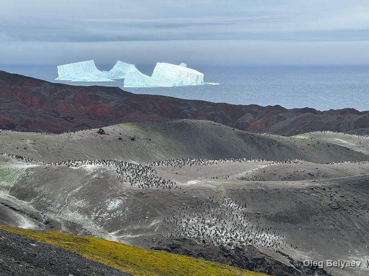 Fieldwork photo 2