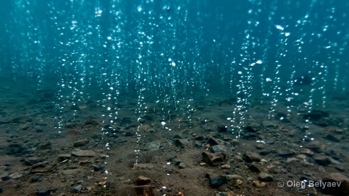 Fieldwork photo 10