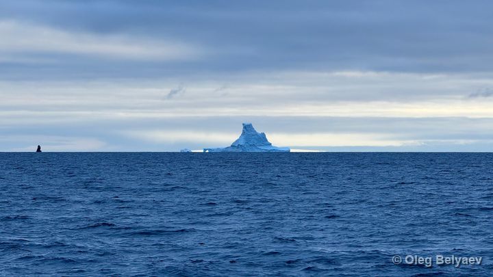 Fieldwork photo 12