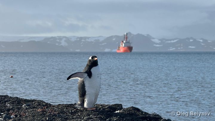 Fieldwork photo 16